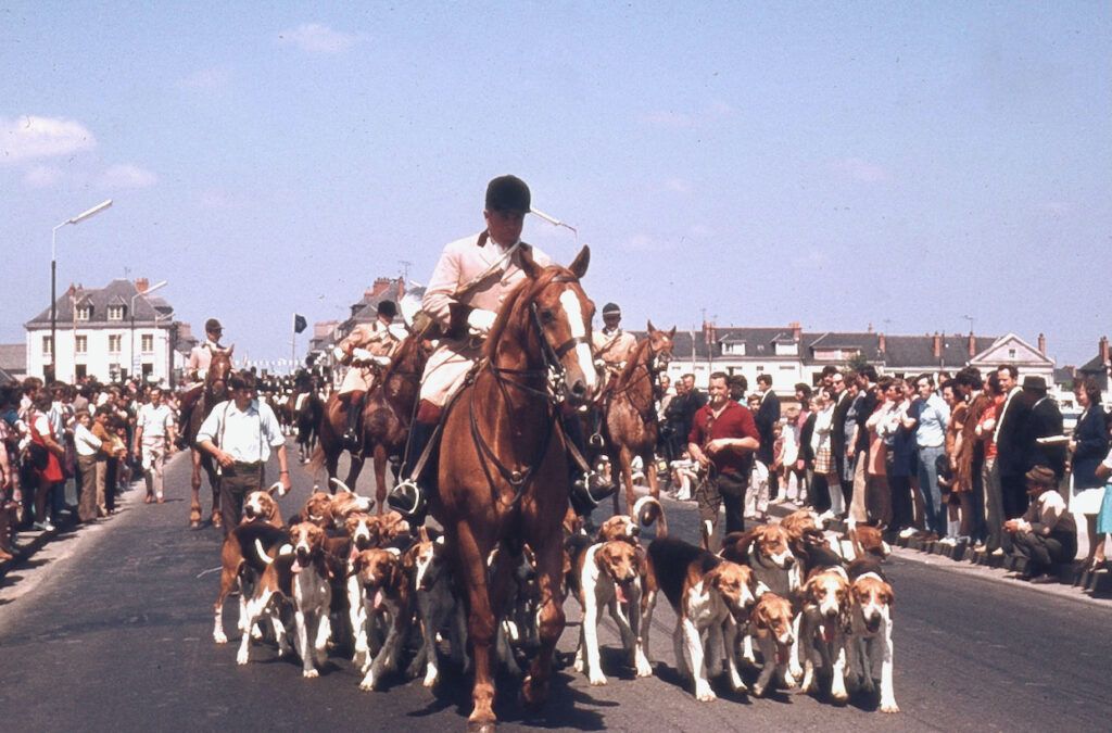 SAUMUR. 25 Juin 1972 Défilé fleuri sur le thème Le Cheval.