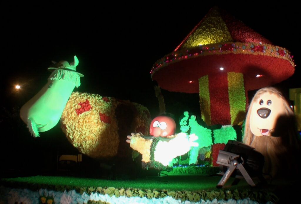 Saumur Mémoires de Fêtes - 2018