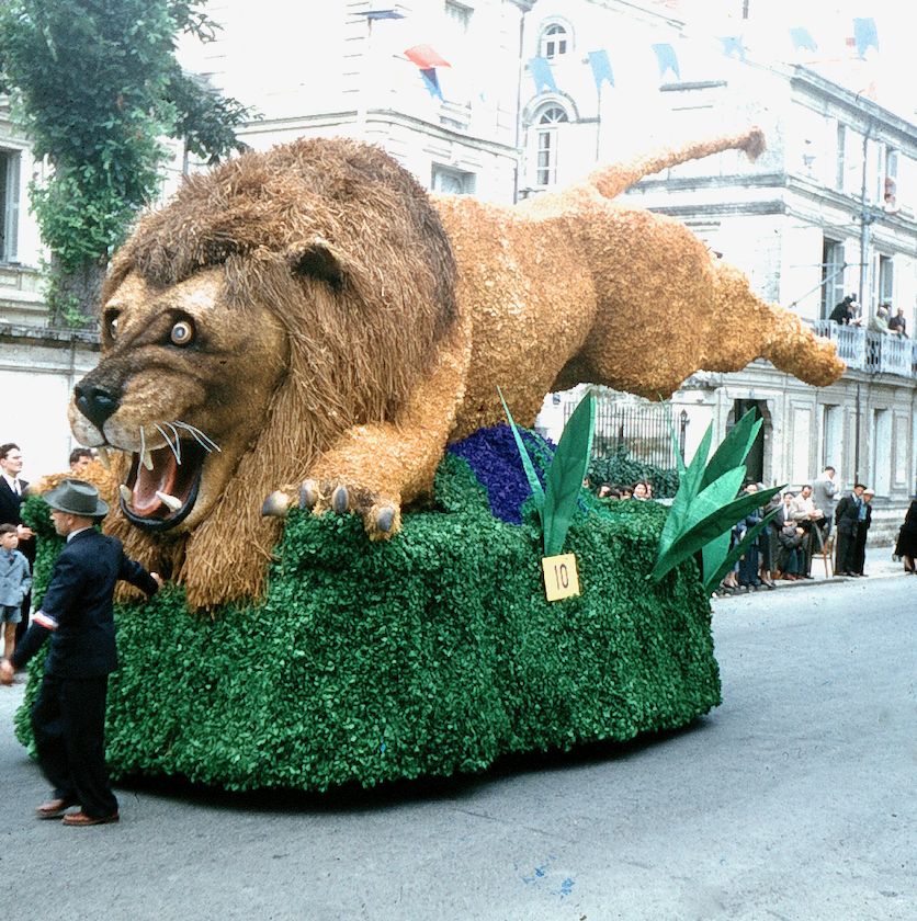 Saumur Mémoires de Fêtes - 1955