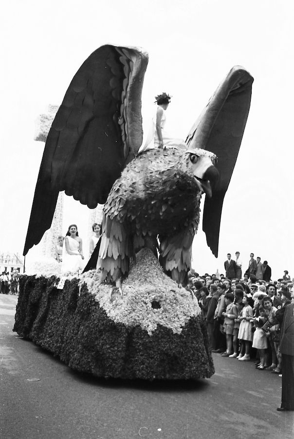 Saumur Mémoires de Fêtes - 1954