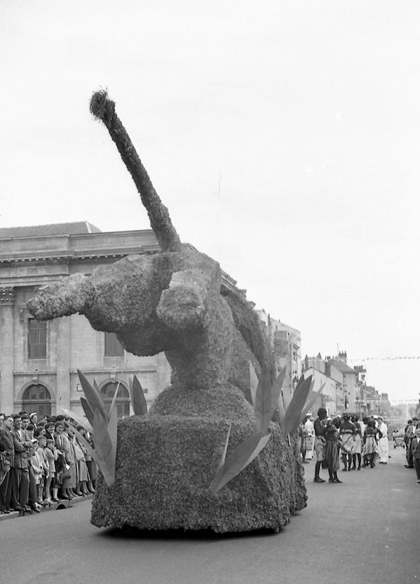 Saumur Mémoires de Fêtes - 1955