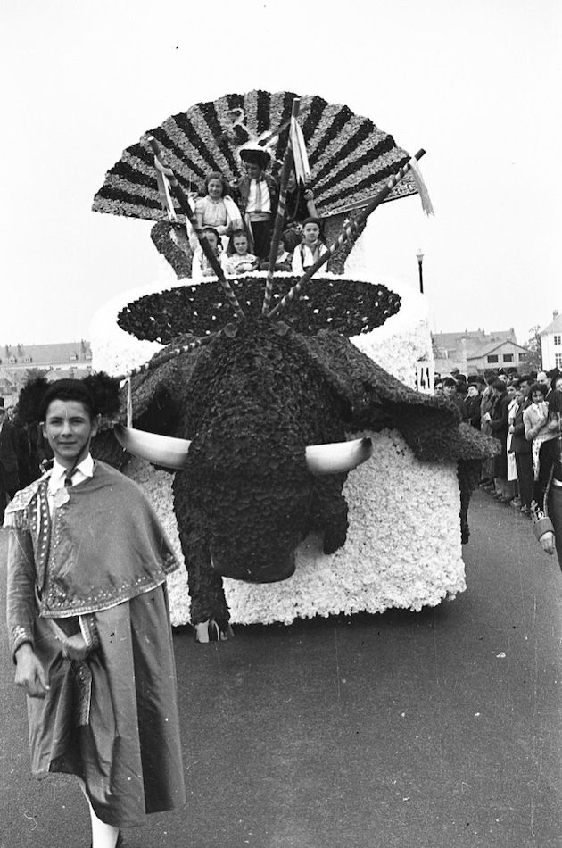 Saumur Mémoires de Fêtes - 1953
