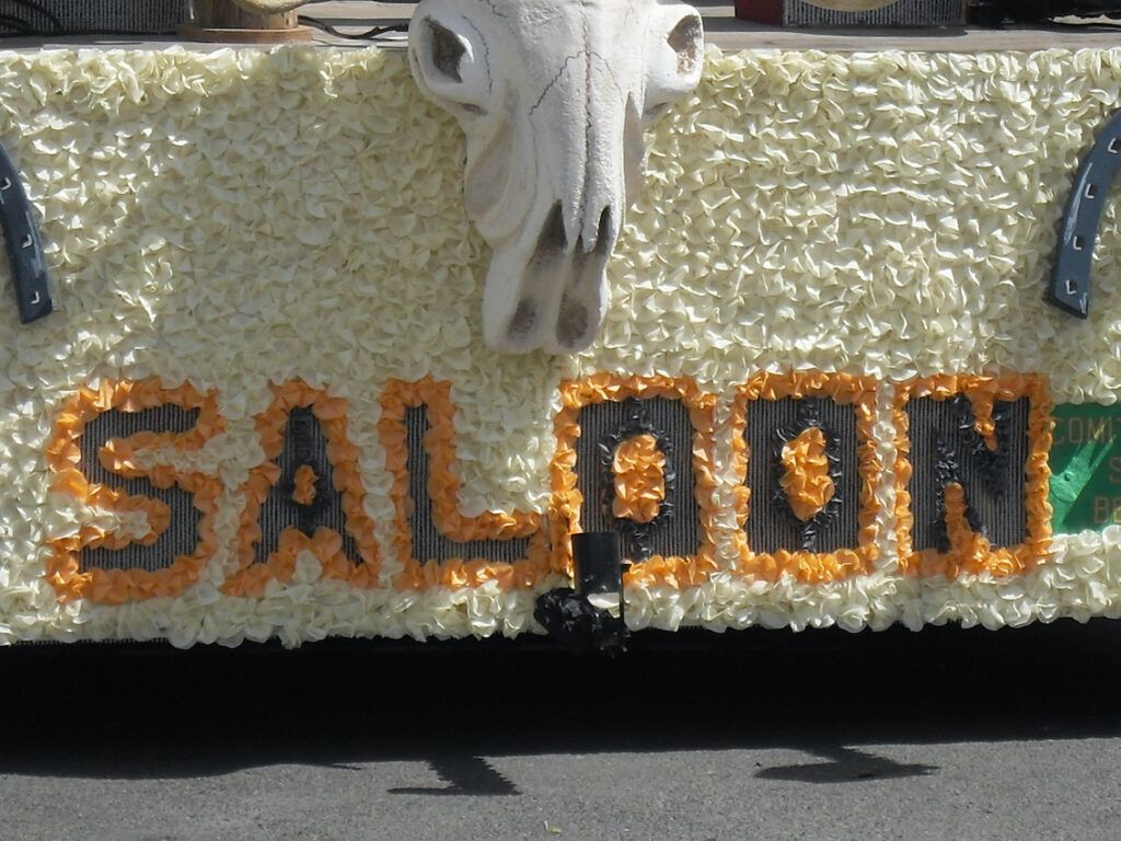Saumur Mémoires de Fêtes - 2014